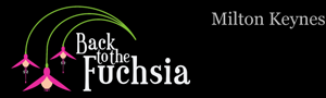 Back to the Fuchsia