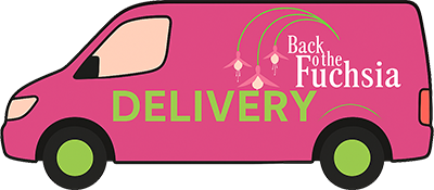 Back to the Fuchsia Flowers Delivered