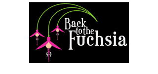 Back To The Fuchsia Florist Stony Stratford